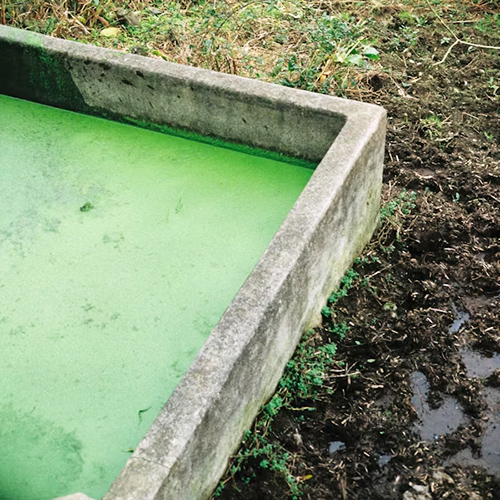 معالجة المياه ومعالجة المياه الصفيحة